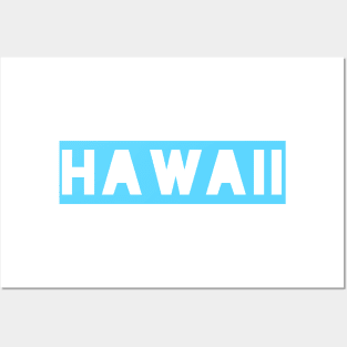 HAWAII t-shirt Posters and Art